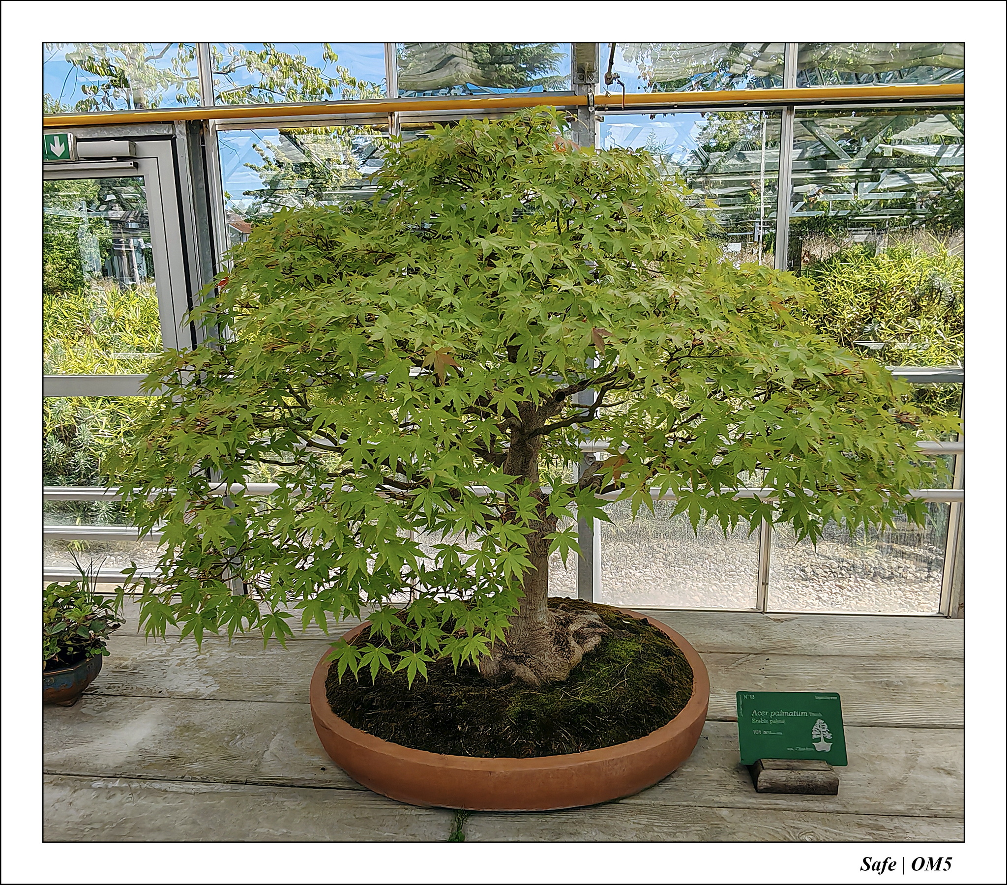 2025 - 08 - Vallée des loups - 17